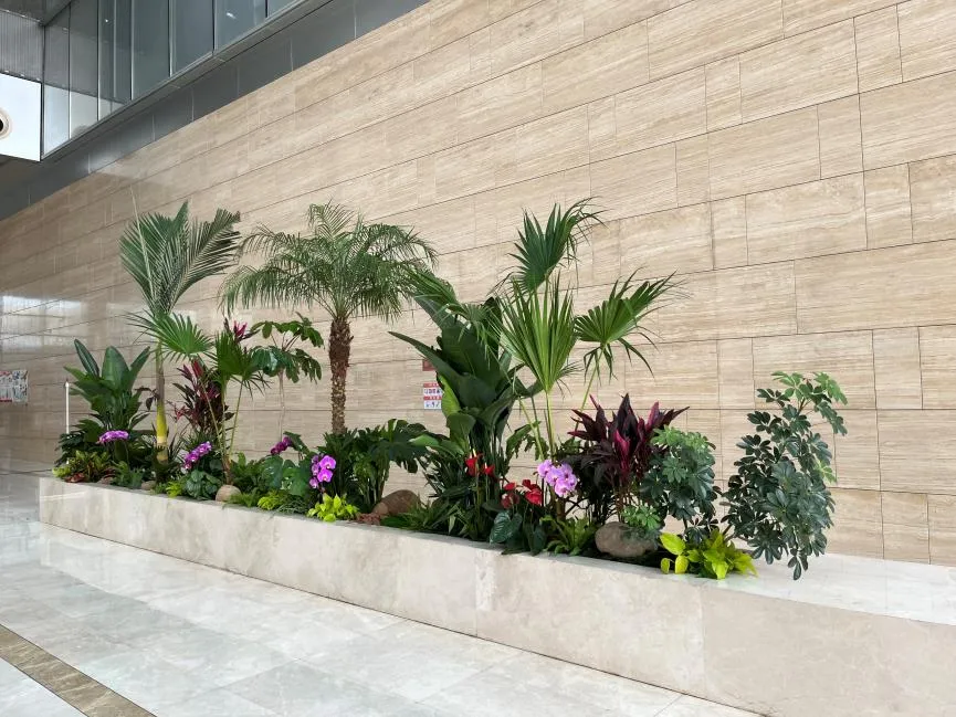 探寻宁波北仑绿植出租，优质服务令人眼前一亮！